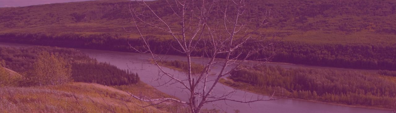 Select Image
